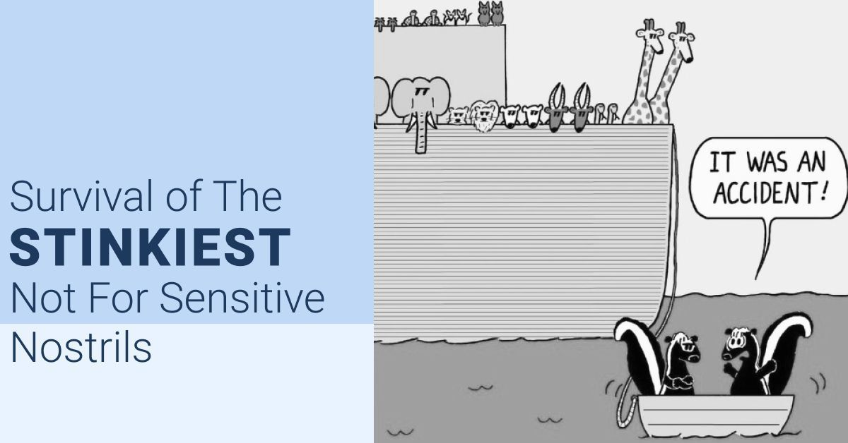 A short story of how #skunks escaped extinction:

I can`t bear this stench 😷!  Has anyone packed some extra de-scent? No? Then you two 🦨 get dinghy-linged behind the ark!

Lune Digital - Build your dreams

#memes #humor #geek #StinkySurvivors #NoahsArk
credit @cartoonsandjokes