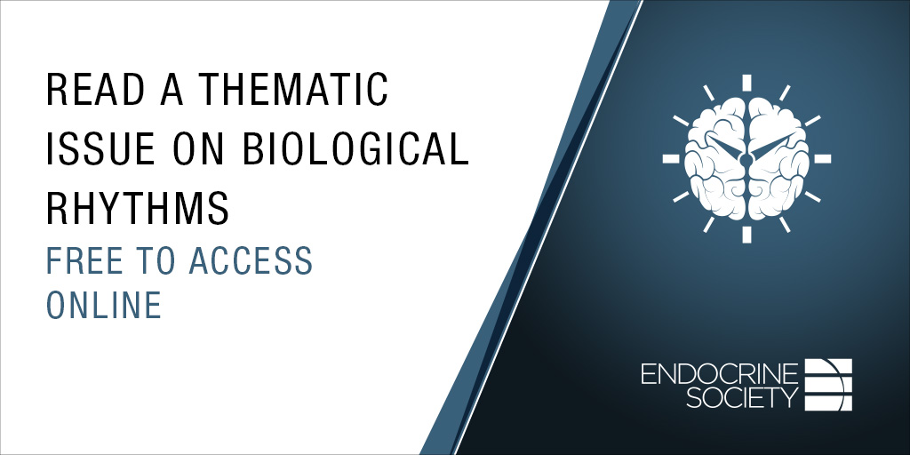 Access our latest Thematic Issue on Biological Rhythms! This new collection from @TheEndoSociety publications explores the influence of various interlinked rhythms on a plethora of endocrine processes. Read now/: bit.ly/47azVnu