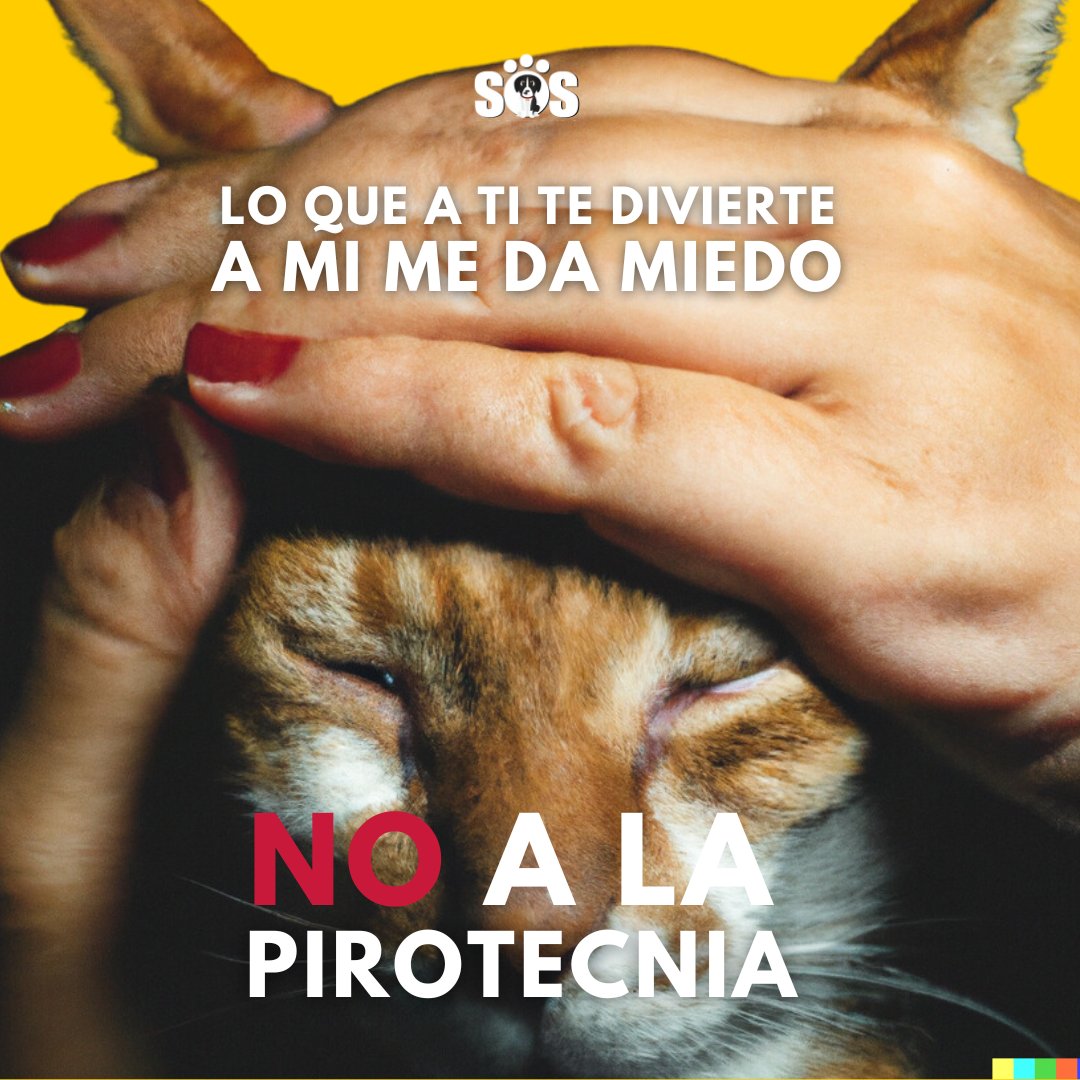 EncontrandoSos's tweet photo. Detrás de cada estruendo, esta una tortura silenciosa que afecta a aquellos que no pueden defenderse. 

#noalmaltratoanimal #noalapirotecnia https://t.co/sYY6WVm06c