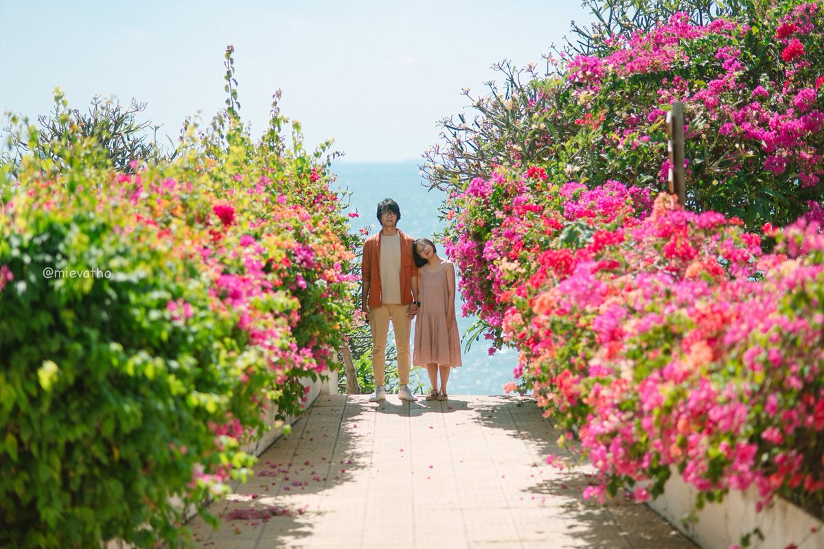 Penelope Bullock tweet media