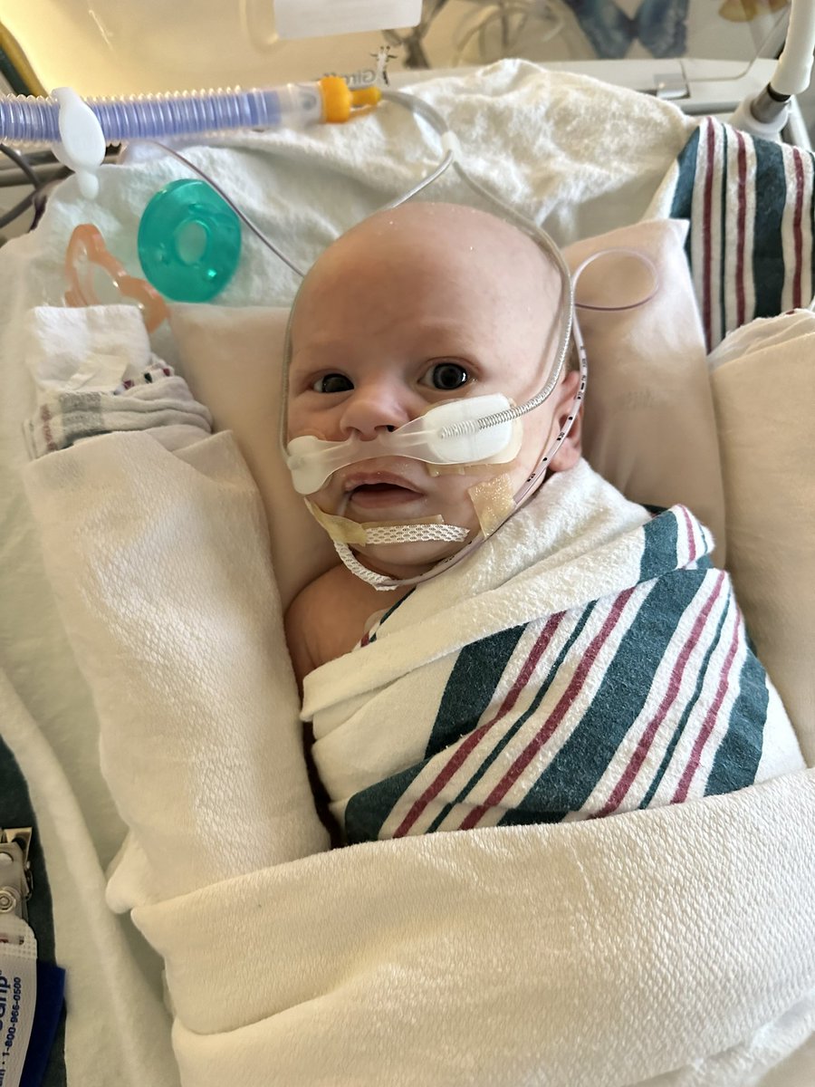 Wesley update! 

More positive news! He adapted so well to his CPAP machine that they have moved him to high flow. 

His breathing is sounding so much better. He’s much more alert. 

Thank you ALL for your continued prayers and positive responses. It helps him and us.