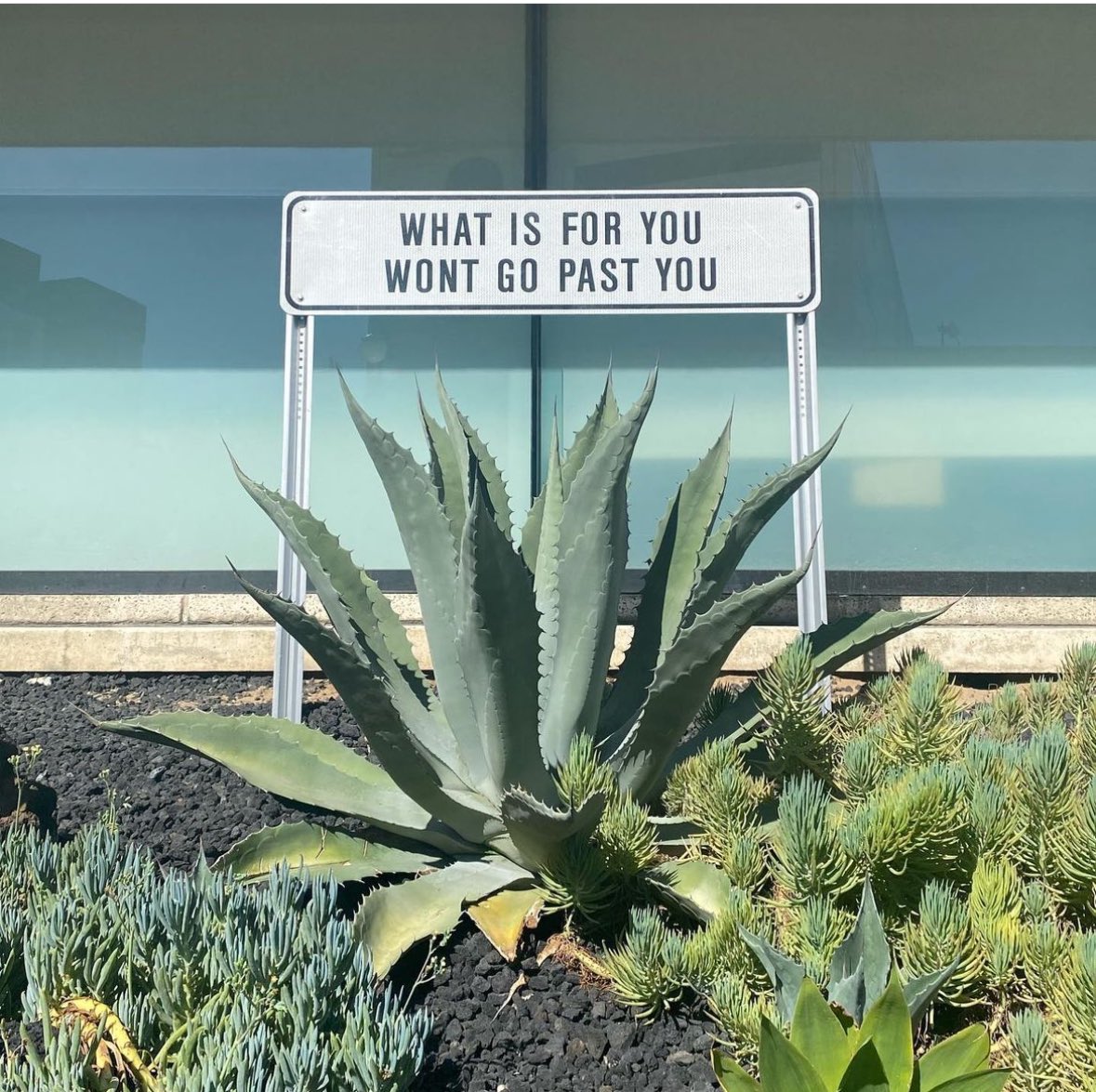 aplural's tweet photo. I remember seeing this sign when I went out into the world after COVID for the first time in while in LA. Here’s to hoping this still rings true for 2024 ✌️🤞… or I need a new sign 😅 https://t.co/M4tyyxIYpZ