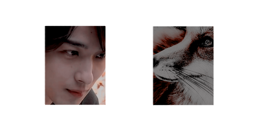 ᅠᅠ

     ᅠᅠ◤ 狐 • ゆうま⠀、
 ᅠᅠᅠᅠ高橋ᅠりつき
 ᅠᅠᅠᅠᅠ𝓡𝒐𝒍𝒆𝒑𝒍𝒂𝒚

   ᅠᅠบอกเล่าเรื่องราวผ่านตัวอักษร

   ᅠᅠ