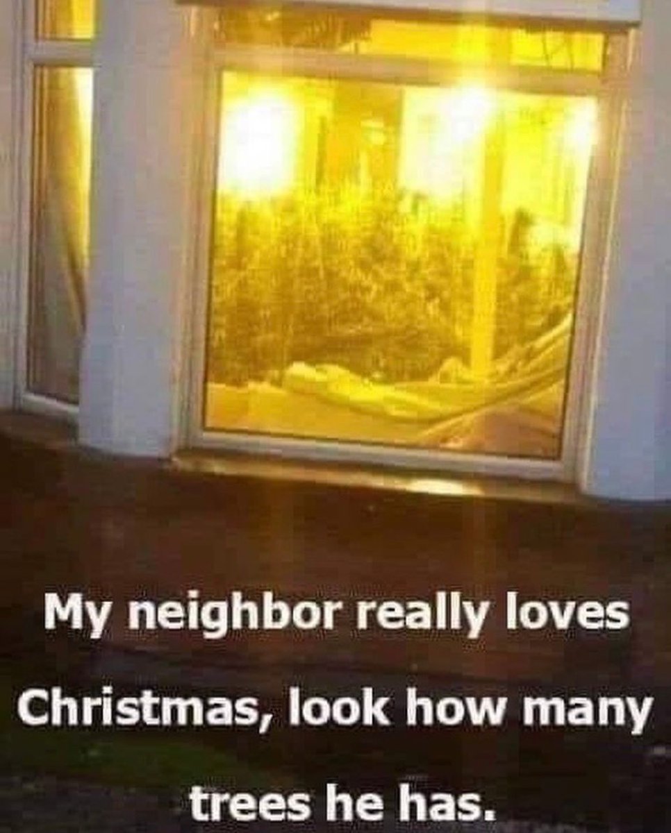 WeedPorns's tweet photo. My neighbors are so festive still 💚 https://t.co/rB5OWQJvxN