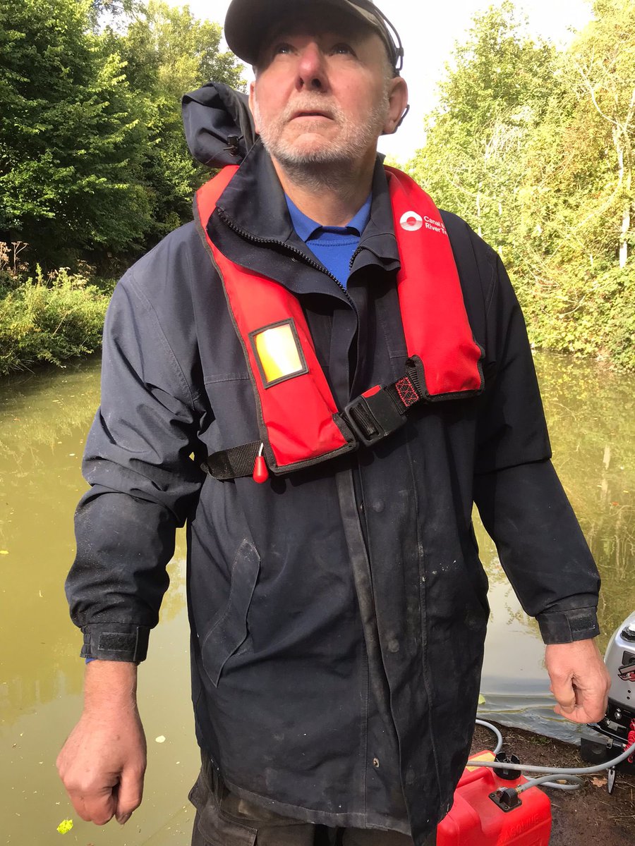 Dave Newman tweet media