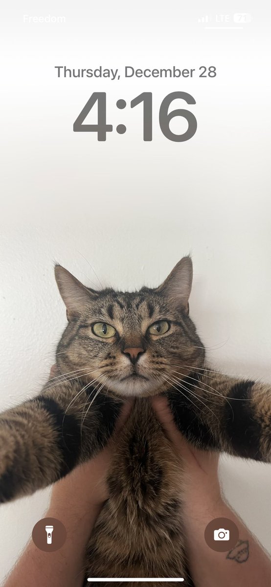 MacyDavey2's tweet photo. I think I found the best wallpaper for my phone 🐱 https://t.co/OnYIQ3nRz5
