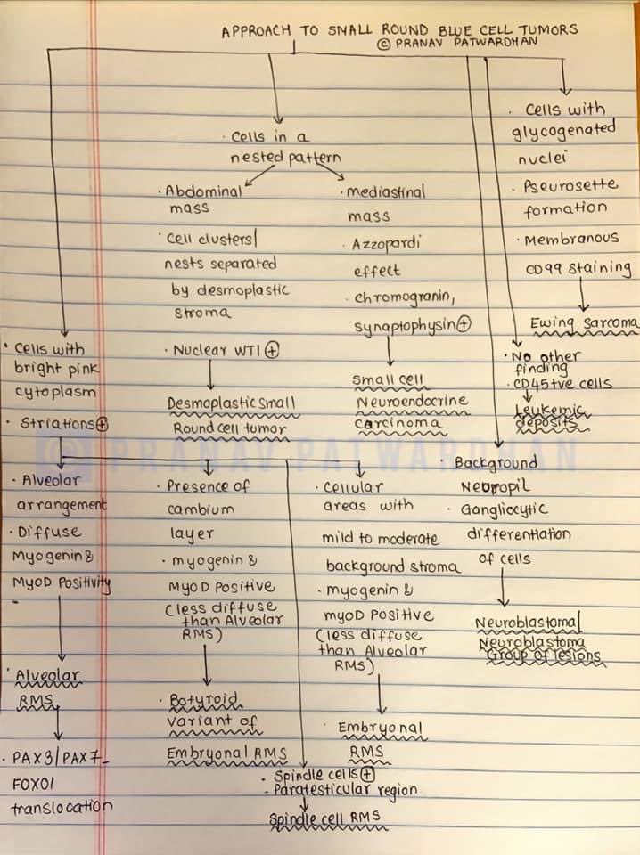 pranavp01's tweet image. A blueprint to the approach to small round blue cell tumors: Some of my notes! #PathEd

And that’s a wrap up to 2023! Happy new year in advance to all!