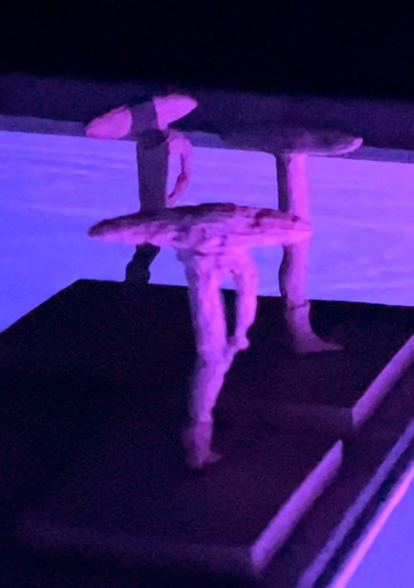 A walk through Bp Laval’s exhibit “The Rodeo Dance Club” a short movie which of course looks better if it’s mirrored to a larger screen. Hit the link bplaval.com