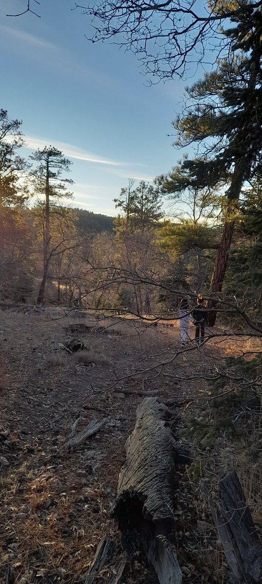 Miguel Lopez tweet media