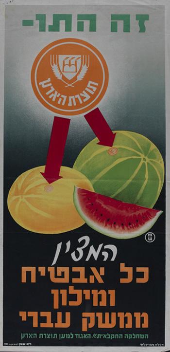 أميرة ح | Amira H tweet media