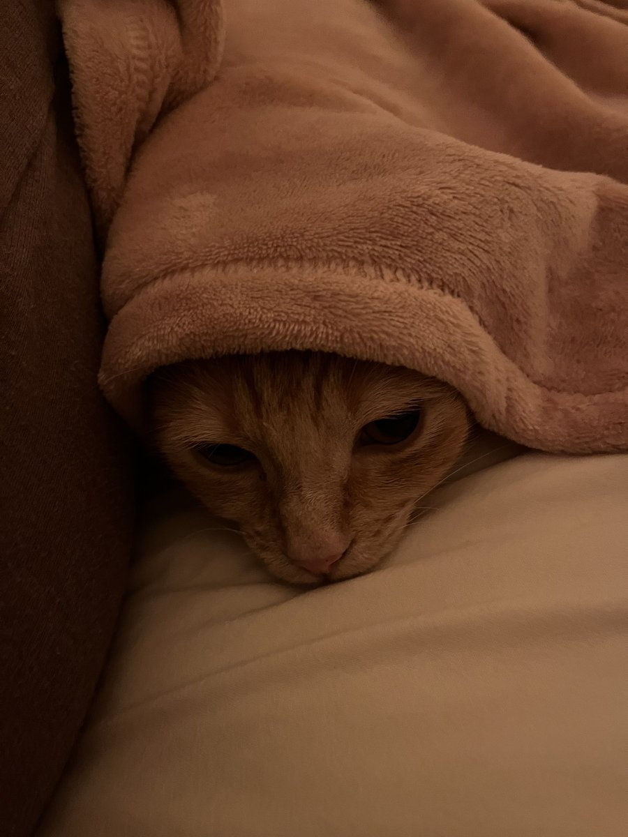 Millie_Doyle's tweet photo. remembering I need to work tomorrow (I volunteered) https://t.co/2U6AoDYhqU