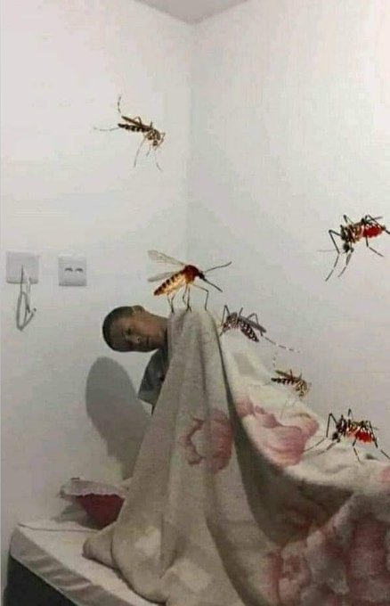 YA NO LOS SOPORTO MAS