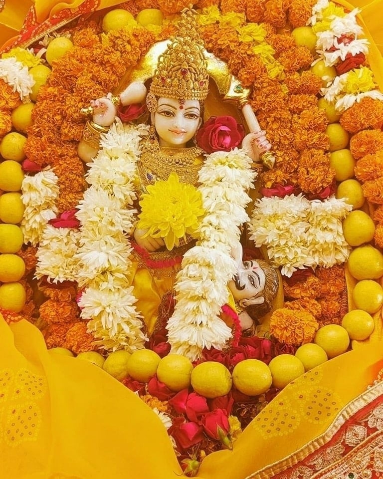 Maa BaglaMukhi Mandir tweet media