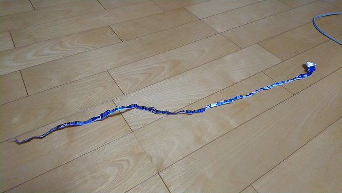 #TLによくわからない画像を流して今年ここまで生き延びたことを祝う 