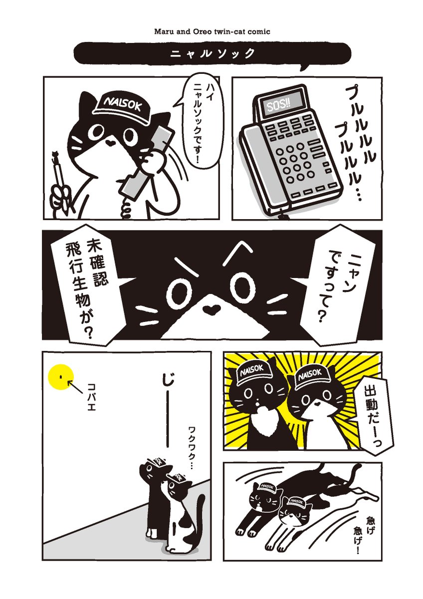 Maruore_comic's tweet photo. 【再掲】藤家のへいわは モフモフにゃるそっくが まもっているのです
@fuji_ayako @umetokoume1 @famostaff

#漫画が読めるハッシュタグ
#猫がいる幸せ
#猫がいる生活 #マルとオレオふたりはなかよし https://t.co/mvUryeura7