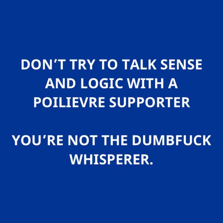 tom howden 🇨🇦 tweet media