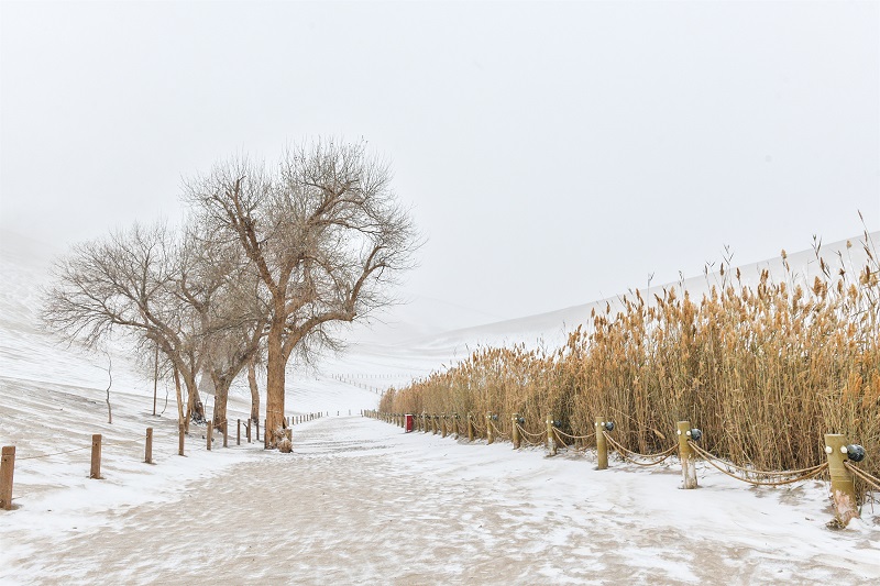 ExploreGansu's tweet photo. ❄️🌨️⛄❄️Enveloped in serenity and poetic allure, Dunhuang in #Gansu province unveils a spellbinding wave of snowscapes that will leave you intoxicated with their breathtaking beauty. #SnowscapeSplendor #GansuGlance #AmazingGansu #WinterWonderland https://t.co/3IzTKyfUzJ