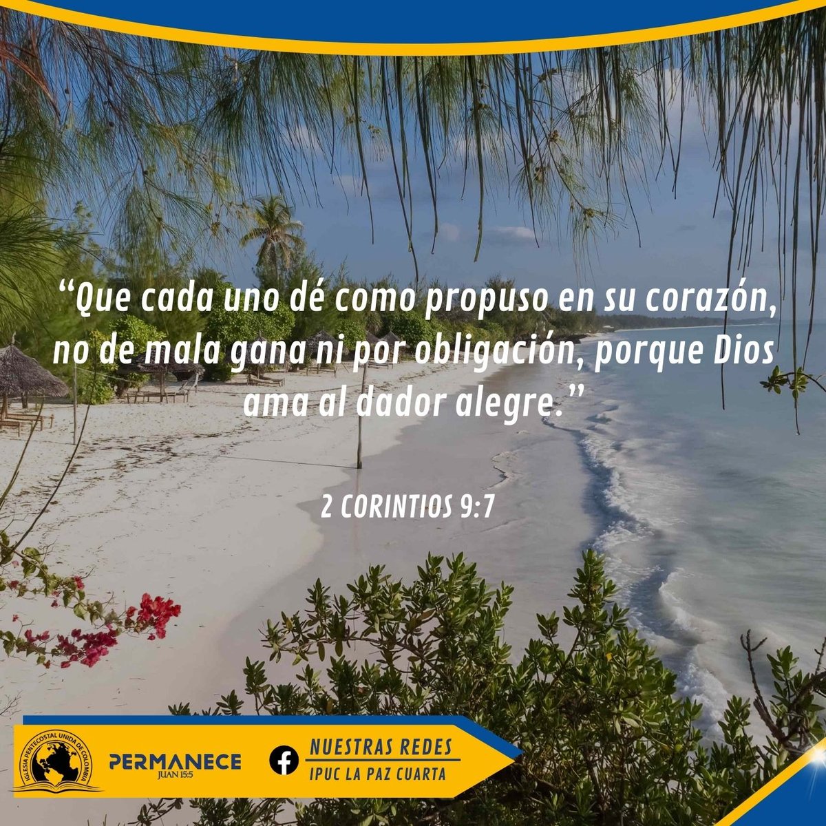 adielibppastor's tweet image. #Permanece|VersículoDiario 📖📌