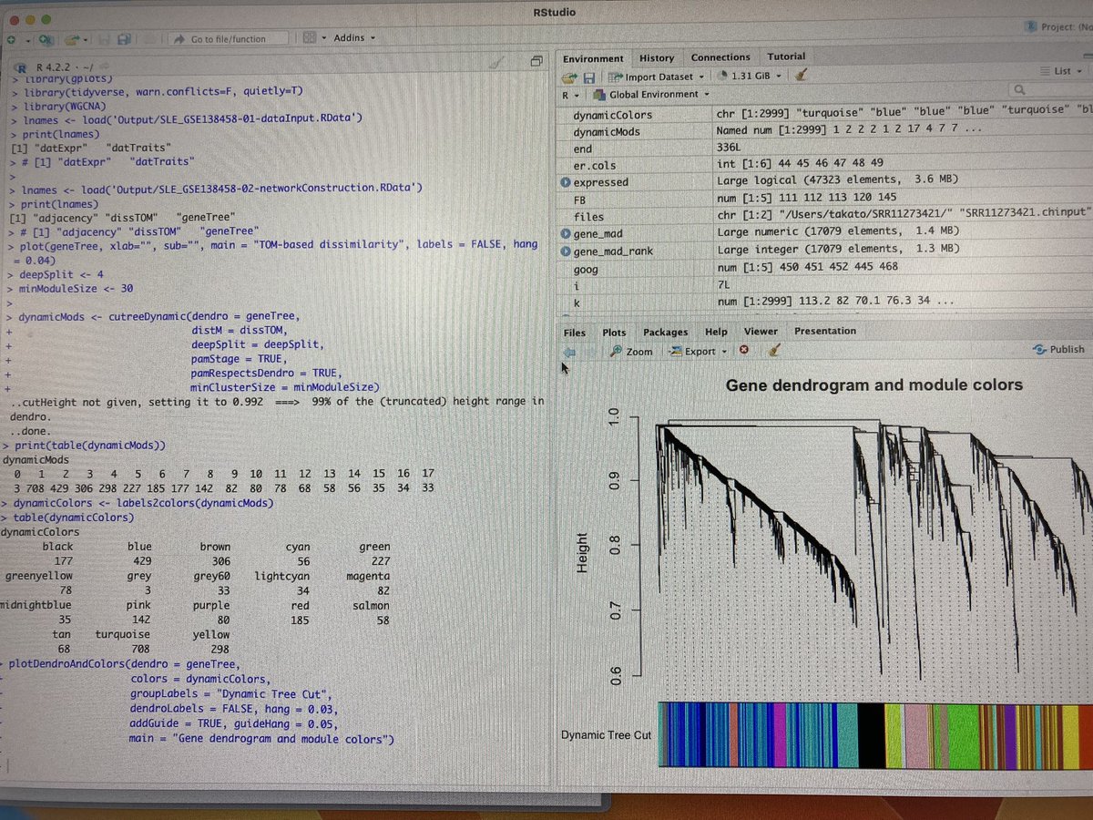 t_goto21's tweet image. WGCNA解析(遺伝子の発現相関から似た発現変動をする遺伝子のクラスターを見つける)
塩こうじさんのサイトを参考にとりあえず追いかけてみた。
Mac M1にインストールするのむずかったけどそれさえ終わればなんとなくの図はできる、、もっと勉強しないと💦