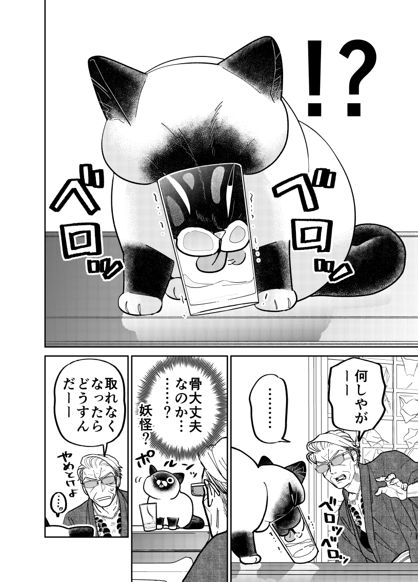 コップの水が気になる野良猫と振り回される元極道の話。  #漫画が読めるハッシュタグ