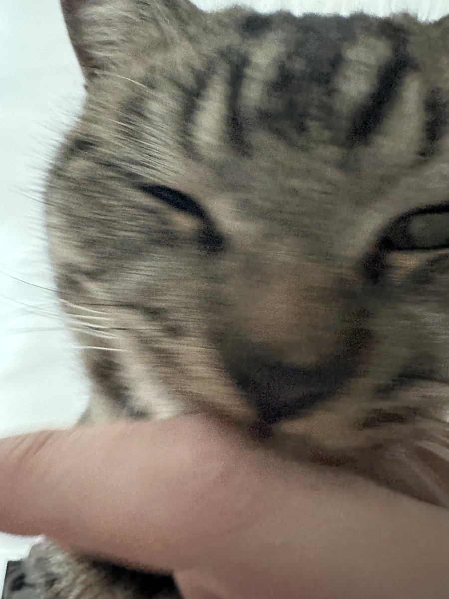 ตื่นไปให้ข้าวได้แล้วโว้ย~ นอนไรนักหนา!!! 🥲🥲🥲🥲🥲😼😼😼😼