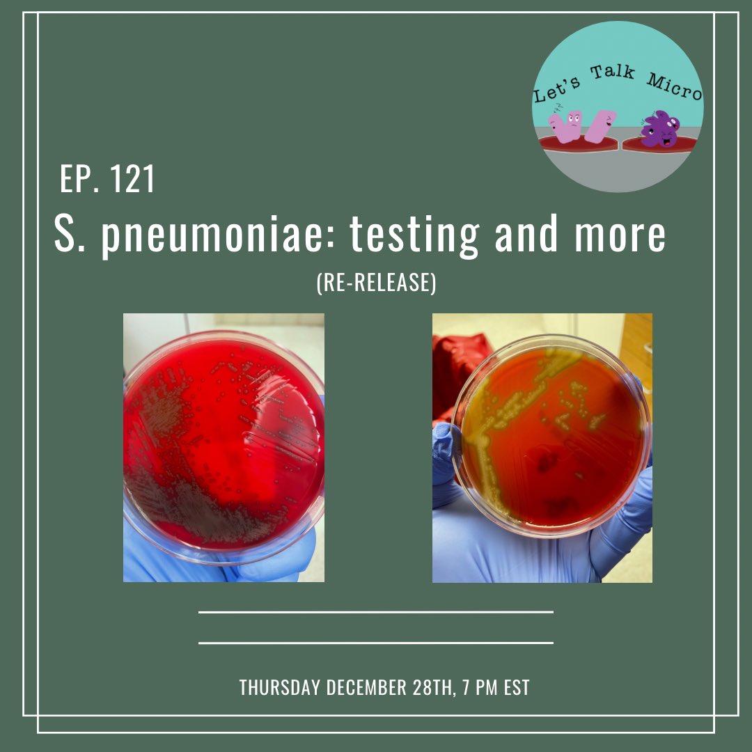 Episode alert! In this episode I continue going over testing for Streptococcus pneumoniae.

#microbiology #medtwittter #IDtwitter #medlabsci #podcast #stem