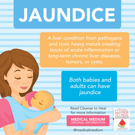 MedicalMedium's tweet photo. Jaundice is a liver condition from pathogens and toxic heavy metals creating bouts of acute inflammation or long-term chronic liver diseases, tumors, or cysts. Adults can experience jaundice, but it’s especially common in babies. More: https://t.co/9mlNkmuatp https://t.co/iMCdQAJ57T