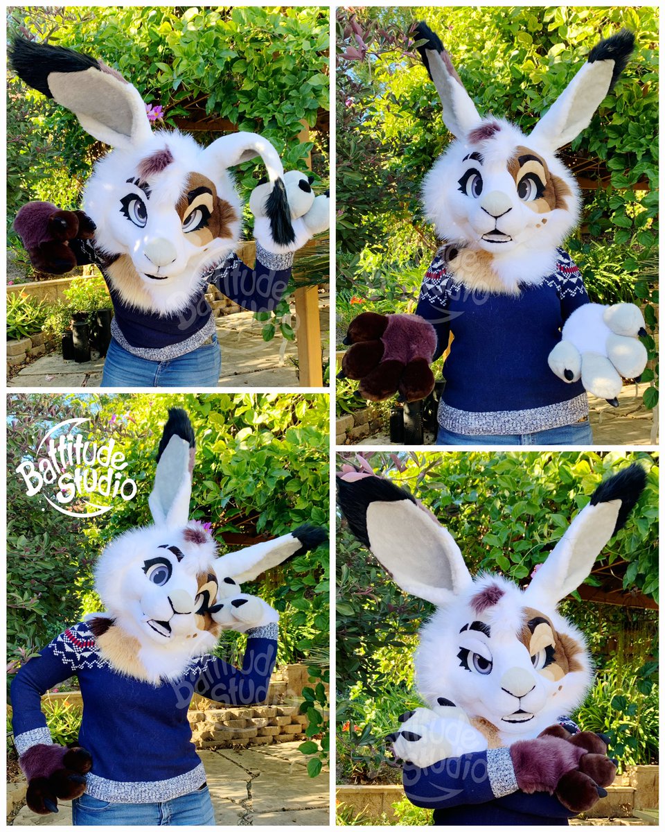 How is it almost new years?? Anyway here’s Kailen!! We finished her up in November and finally got pics a week or two ago! 🐇