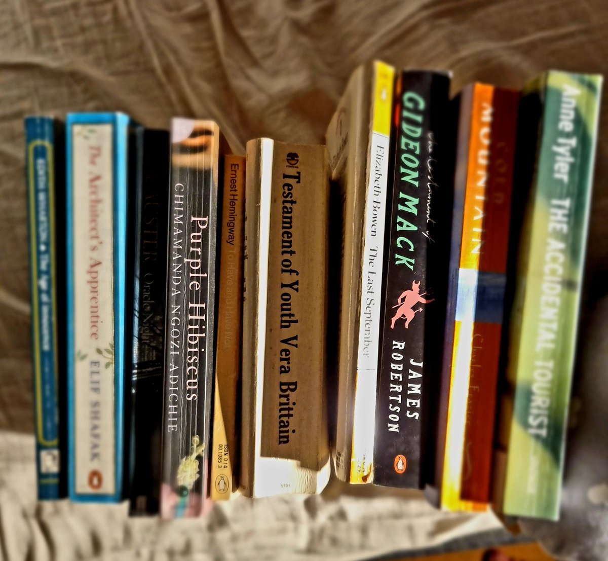 Felicity tweet media