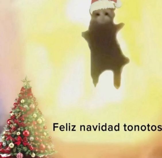 Cleiver077's tweet photo. feliz navidad https://t.co/t271940tY6