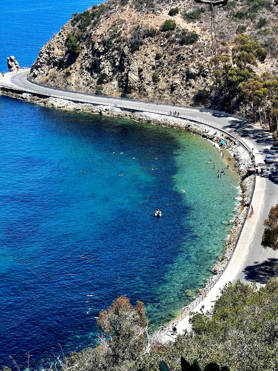 🪩danielle orellana🪩 tweet media