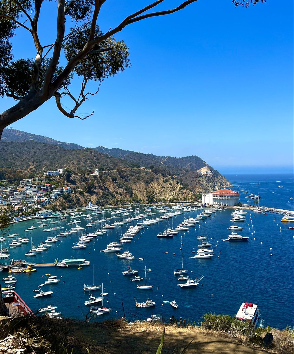 🪩danielle orellana🪩 tweet media