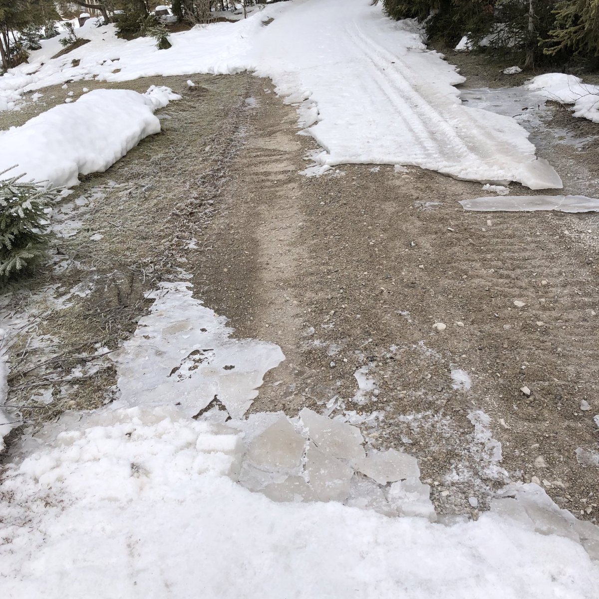 alpen_wetter's tweet photo. Ein guter Tag auf der Loipe 😁 
Heute in #Scharnitz unterwegs. Die A11 Bodenalm ist überwiegend gut, v.a der nördliche Teil. Im südlichen Bereich aber einige apere Stellen - klassisch geht hier oft gar nichts. Ganze Runde man sich also sparen. 

#loipenbericht #seefeld https://t.co/ZC5AWlsRYe