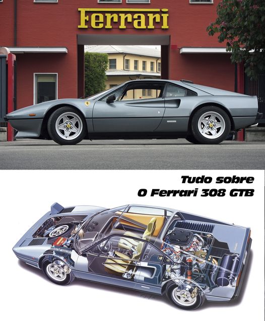 FlatOut Brasil tweet media