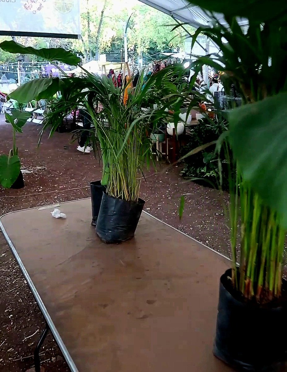 argentoenmexico's tweet image. Abrió un nuevo centro artesanal en Cdmx
Te invito a ver el video para mas informes
youtube.com/shorts/5PMebWV…
 #CDMX #CentroArtesanal #cdmxparatodos #artesanias #argentinienmexico #argentinosporelmundo