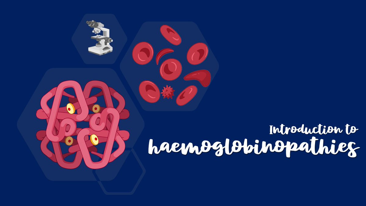 BloodScientist's tweet photo. A brief introduction to haemoglobinopathies; the what, the why and the how in a discussion with Daniel Monteiro, principal biomedical scientist.

📽️Watch the discussion on YouTube here: https://t.co/wH8u0TBGkX

#OnlyCells #redcells #haemoglobinopathies #youtube https://t.co/GSk8dhD9Hn
