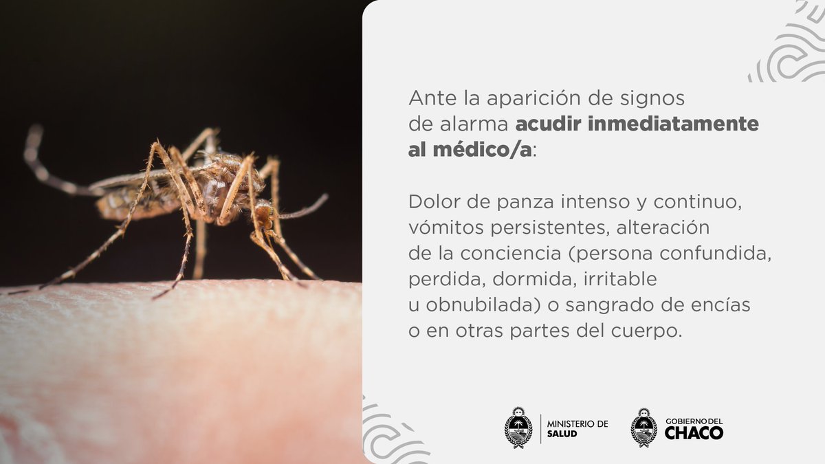 Ministerio de Salud del Chaco tweet media