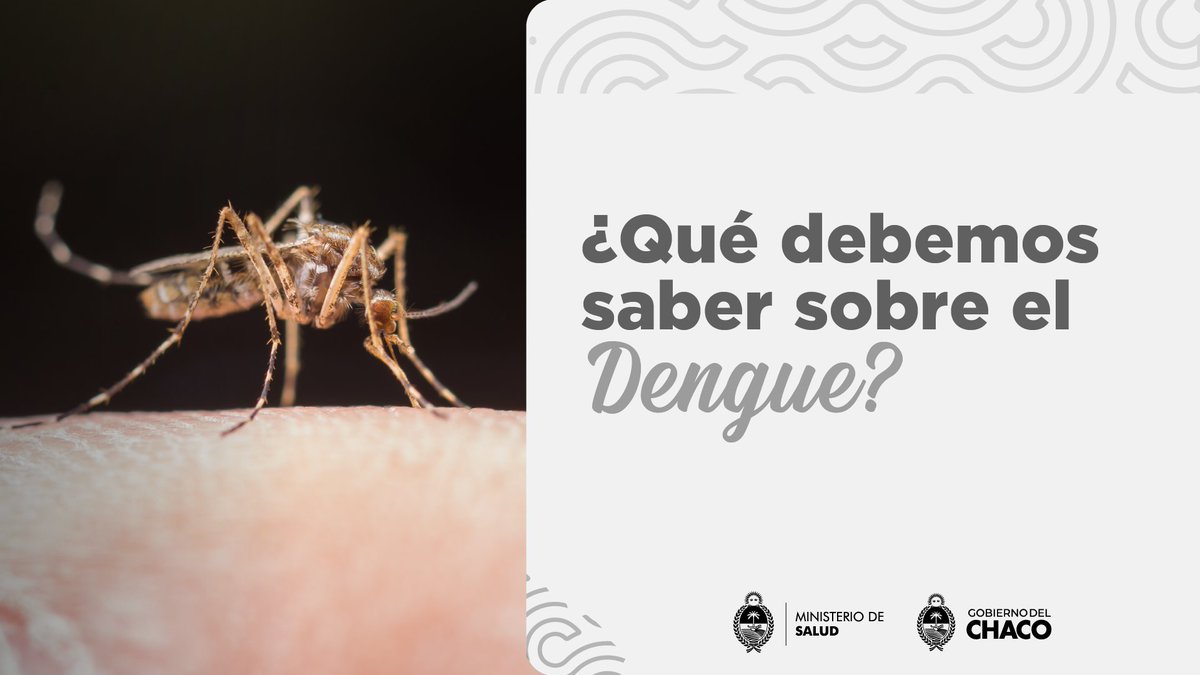 Ministerio de Salud del Chaco tweet media