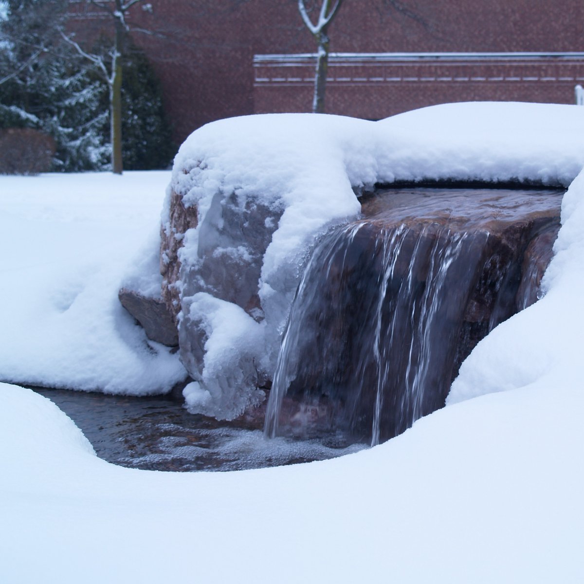 therealpondguy's tweet photo. Is your pond ready for winter? Check out this insightful guide on winter pump use by The Pond Guy. Before you decide to run or shut down your water garden for winter, here are a few points to consider: https://t.co/wUVHH5EVKq https://t.co/cPJ7IRHjiL