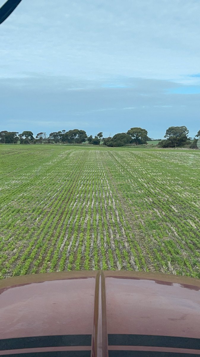 Angus Glazbrook tweet media