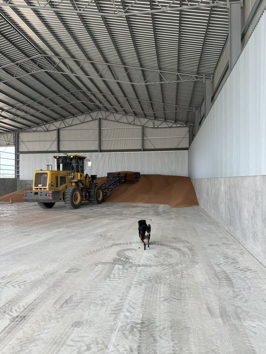 Angus Glazbrook tweet media