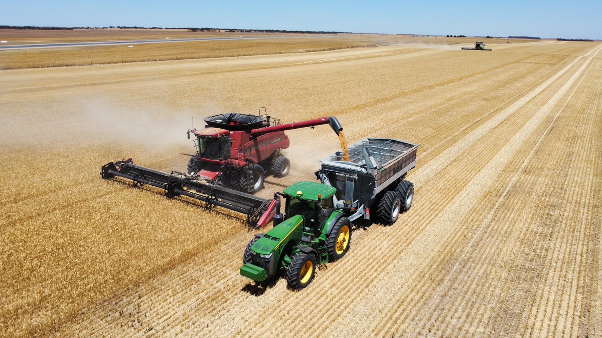 Angus Glazbrook tweet media