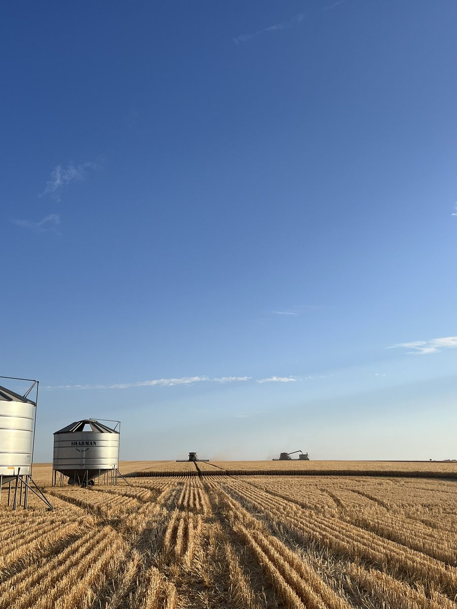 Angus Glazbrook tweet media