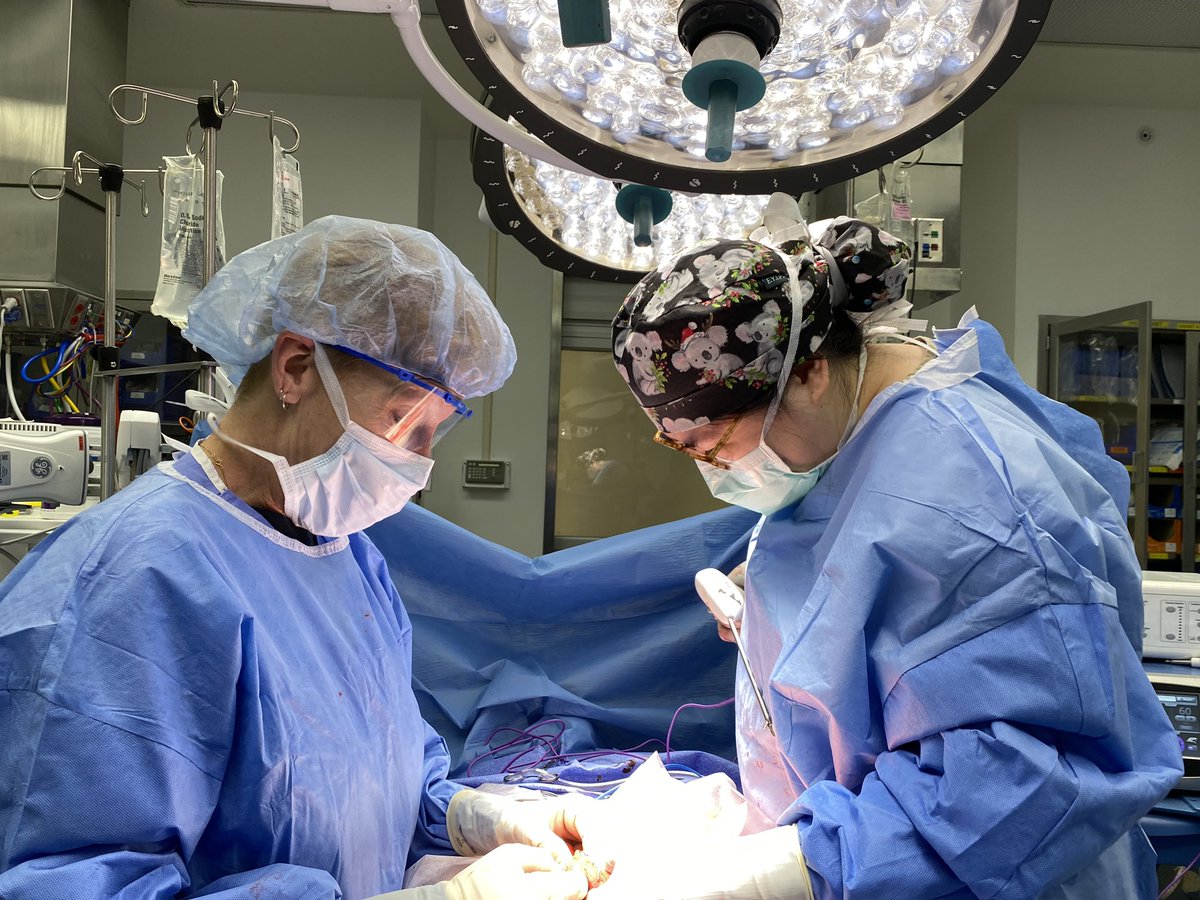 Anna Spivak (@annaspivs) on Twitter photo Congratulations to the legendary OR nurse Cheryl Cordell on the retirement! 40 years <a href="/ClevelandClinic/">Cleveland Clinic</a> working with CORS surgeons! 29000 surgeries, 1000s of nurses trained! 200+colorectal fellows <a href="/DrMikeValente/">Michael A. Valente</a> <a href="/ScottRSteeleMD/">Scott R. Steele</a> <a href="/drtracyhull/">Tracy Hull</a> , <a href="/EmreGorgunMD/">Emre Gorgun</a> <a href="/katherinehu/">Katherine Hu</a> Congratulations to the legendary OR nurse Cheryl Cordell on the retirement! 40 years <a href="/ClevelandClinic/">Cleveland Clinic</a> working with CORS surgeons! 29000 surgeries, 1000s of nurses trained! 200+colorectal fellows <a href="/DrMikeValente/">Michael A. Valente</a> <a href="/ScottRSteeleMD/">Scott R. Steele</a> <a href="/drtracyhull/">Tracy Hull</a> , <a href="/EmreGorgunMD/">Emre Gorgun</a> <a href="/katherinehu/">Katherine Hu</a>