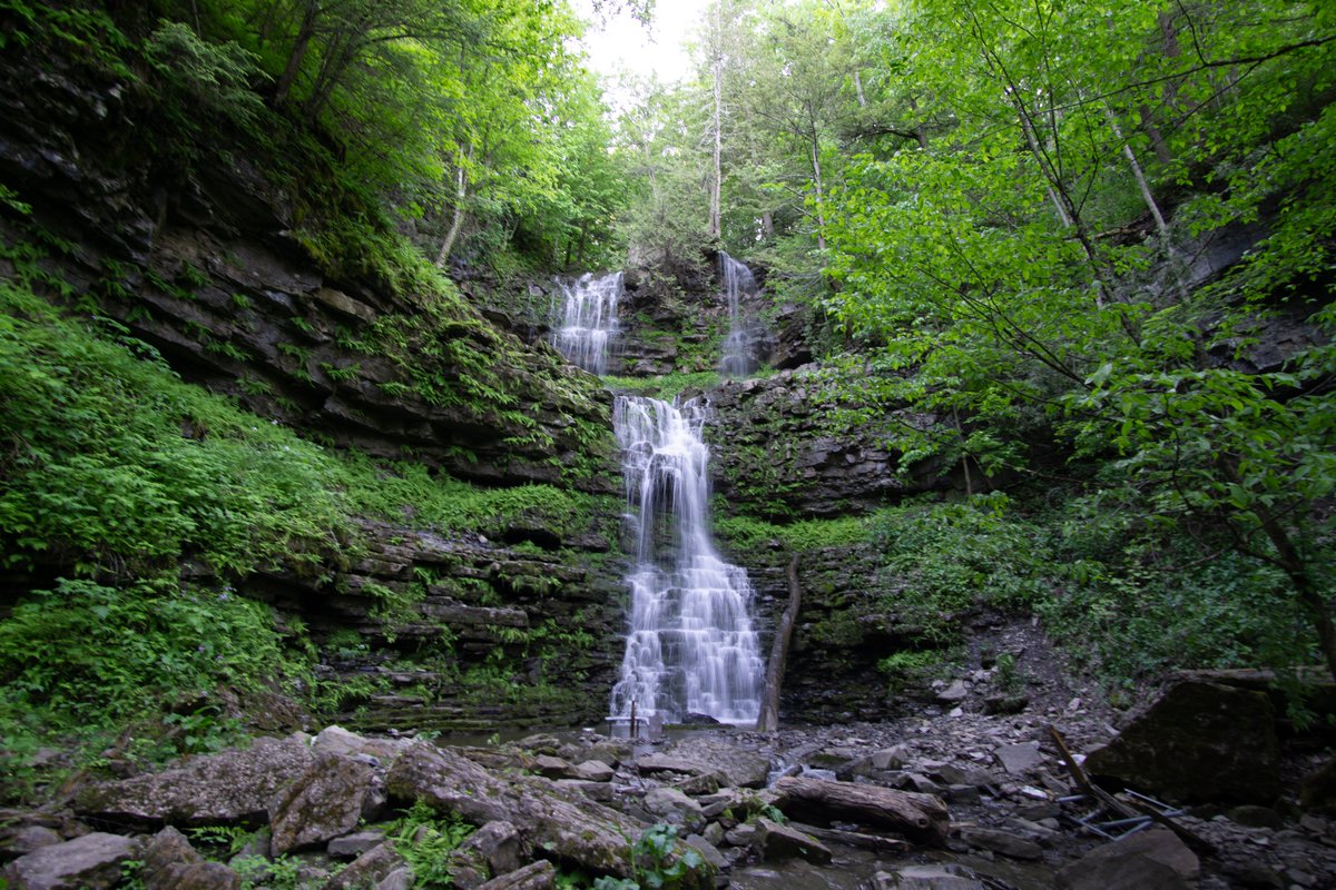 emperate deciduous forest

⭐ Allegheny Highlands forests ecoregion

📍 Chittenango Falls, New York, United States

🌿 dominant species: Adiantum pedatum and Quercus alba

📷 Dave Atkins

#landscape #photography #ecoregion #beautiful #nature #biodiversity #explore #botany