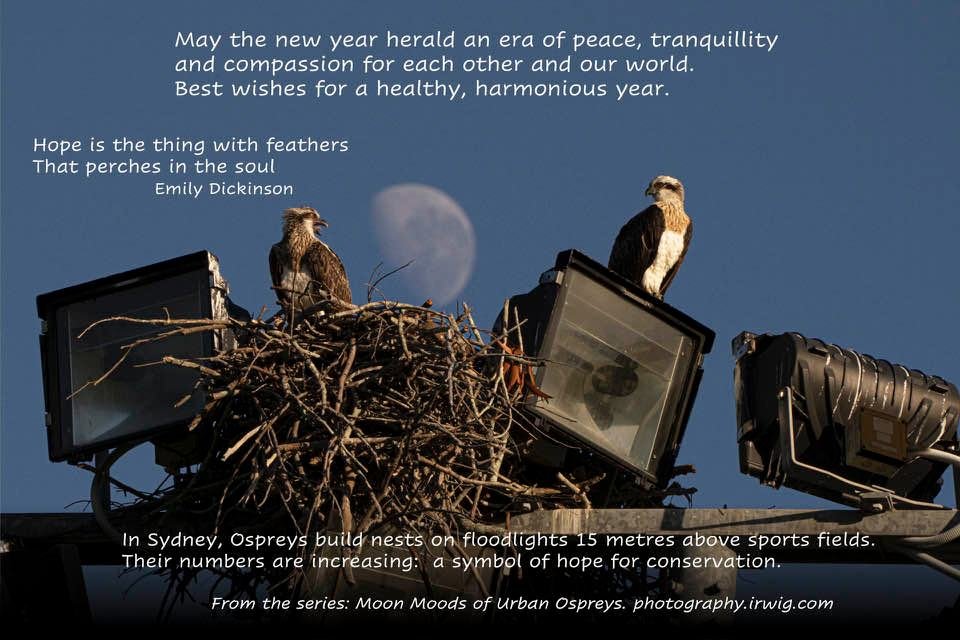 JudyIrwig's tweet photo. https://t.co/CAU5qcgG0r