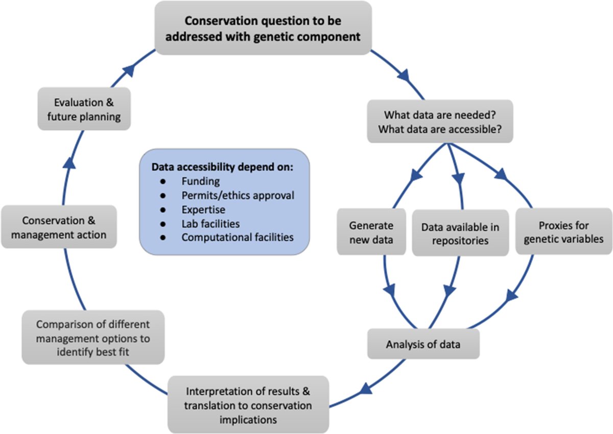 ConservationSP's tweet photo. In this article, Bertola et al share their #pragmatic approach for integrating #moleculartools into #biodiversityconservation.🌿🔬 Read more at https://t.co/jkPqQevhyh

#conservation #biodiversity #science https://t.co/JnnYdVx1Ft