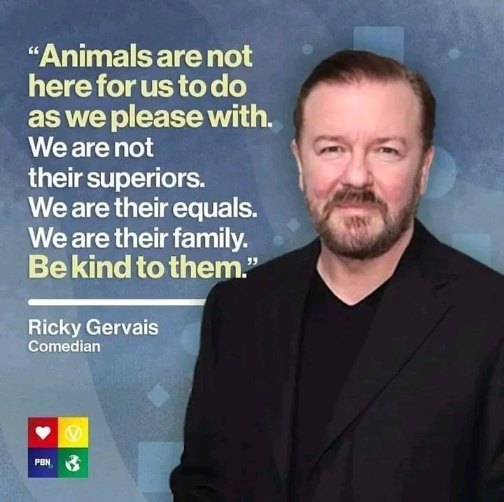 Vegan Future (@veganfuture) on Twitter photo 