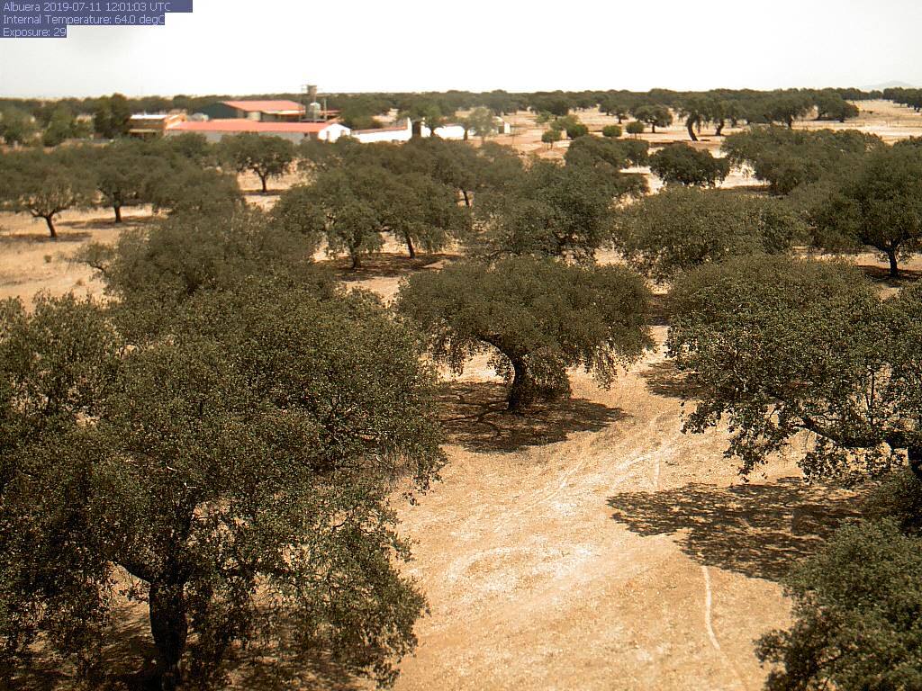 Mediterranean woodland

⭐ Iberian sclerophyllous and semi-deciduous forests ecoregion

📍 Albuera Dehesa, Extremadura, Spain

🌿 dominant species: Quercus ilex

📷 Mirco Migliavacca

#global #vegetation #plants #landscape #photo #maps #explore #botany #spain #woodland