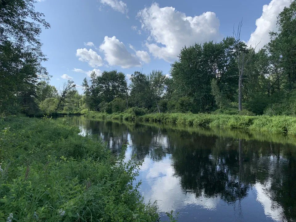 TimberlandReal1's tweet photo. This property is entirely wooded, predominantly red and scotch pine trees, planted over 50 years ago, with the potential for use in log form or sawn into lumber. Contact Dan Empie (315) 376-4433.

https://t.co/UAufR5OfOw

#huntingland #recreationalproperty #riverfront #TIMBERLAND https://t.co/zr1XqDSlLR